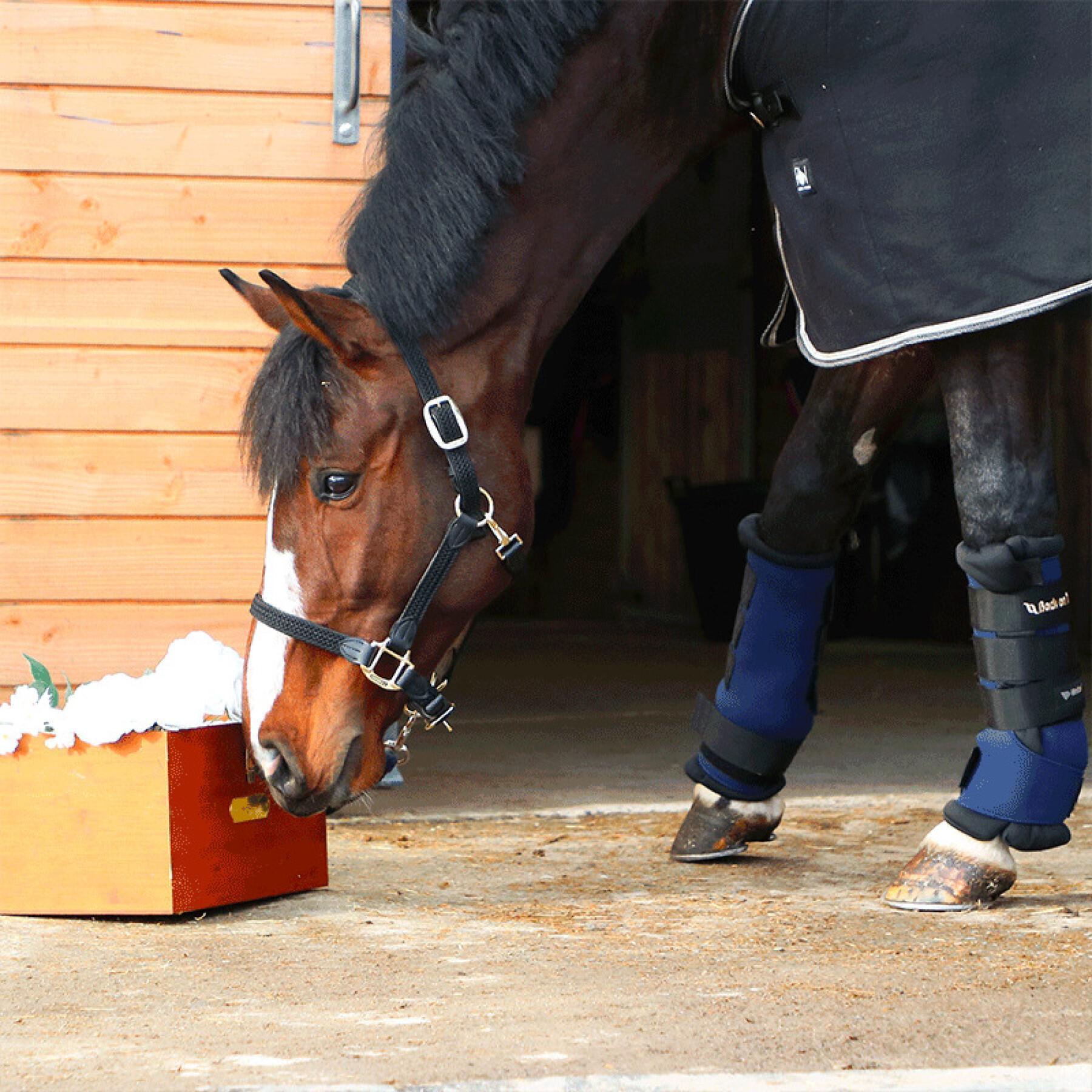Botas estáveis para cavalos Back on Track Royal