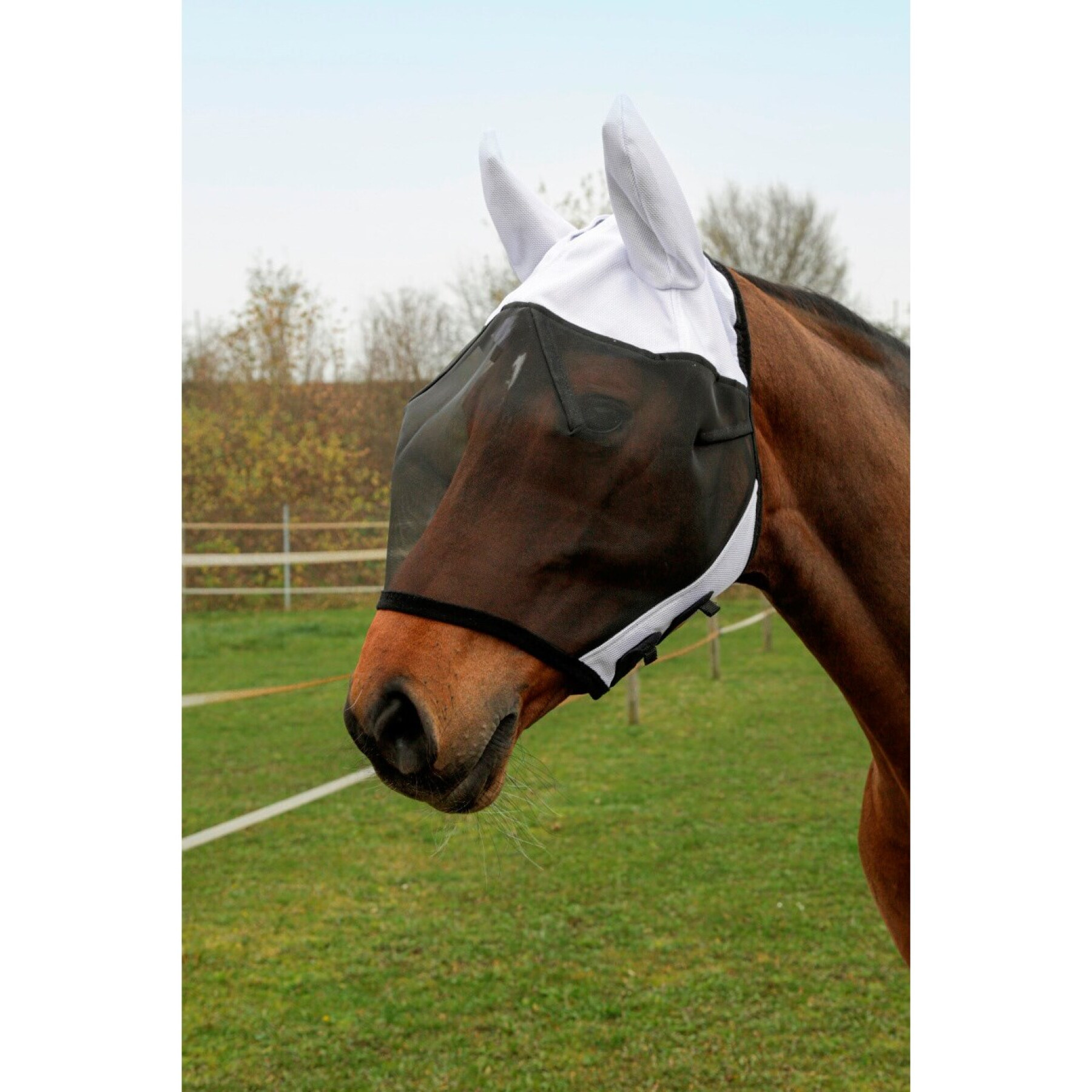 Máscara anti-moscas para cavalos com proteção auricular Covalliero SuperFly