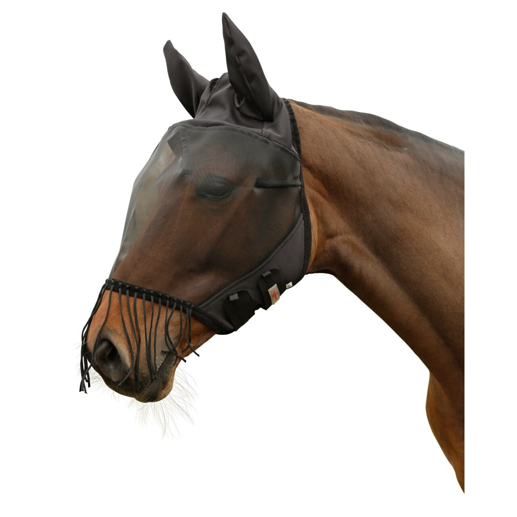 Máscara contra moscas para cavalos com proteção para as orelhas e franja para as narinas Covalliero
