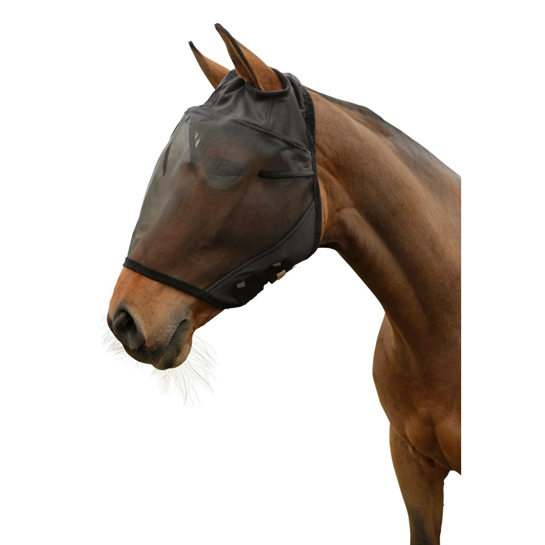 Máscara anti-voo para cavalos Covalliero
