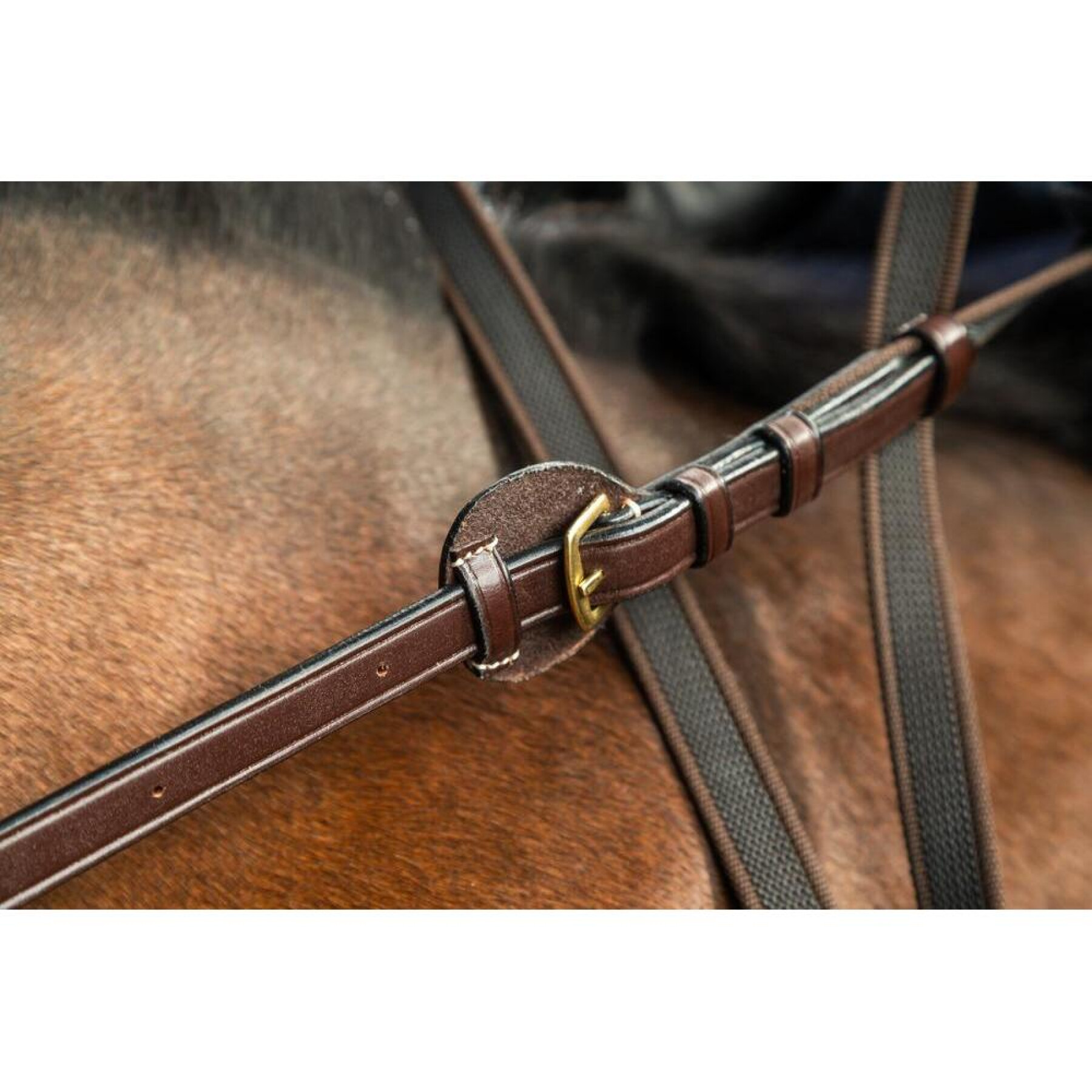 Rédeas de couro ajustáveis para cavalos Dy’on 5/8"