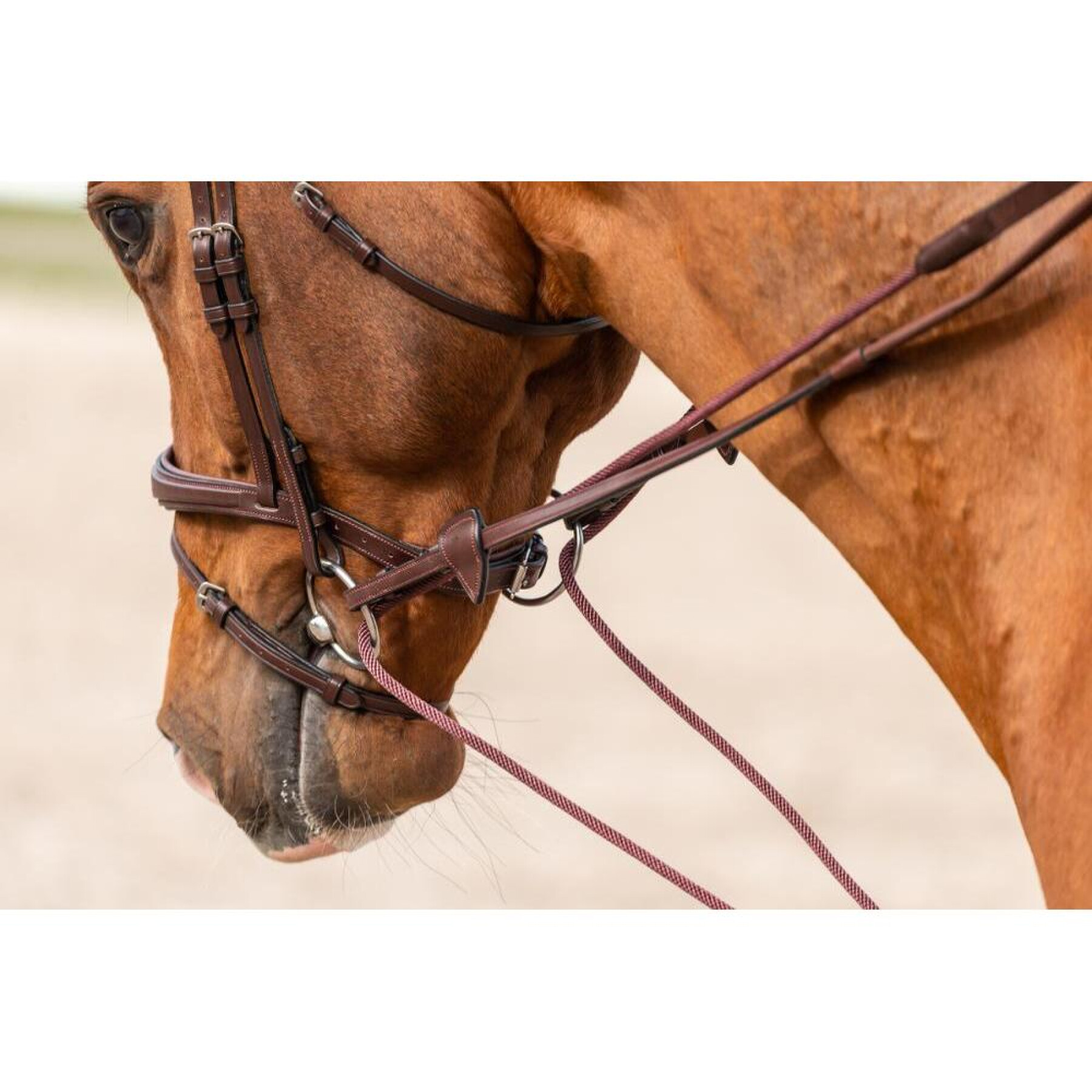 Rédeas de couro e nylon para cavalos Dy’on 5/8