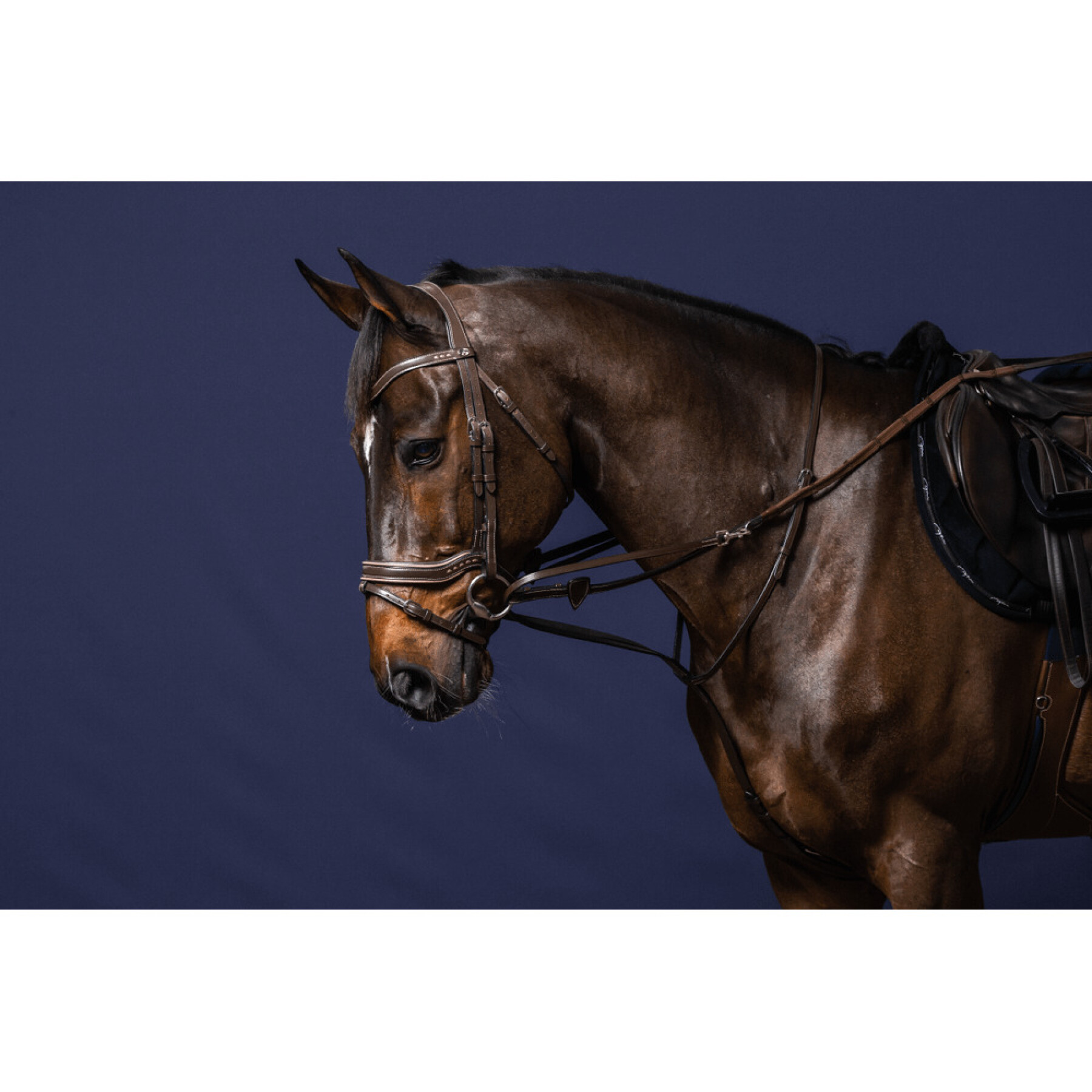 Rédeas para cavalos a todo o pano Dy’on Howlett