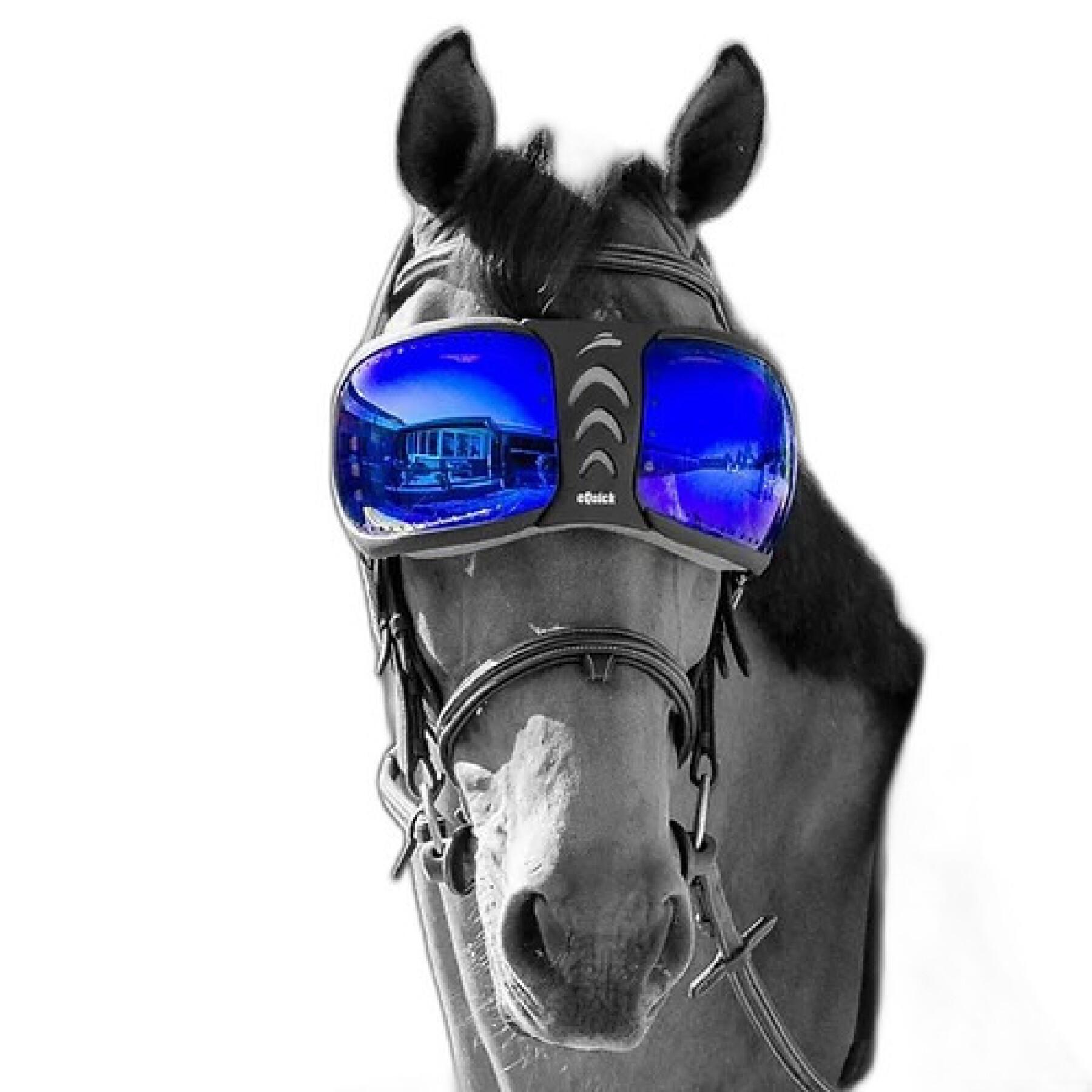 Lentes sobresselentes para óculos de cavalo eQuick eVysor