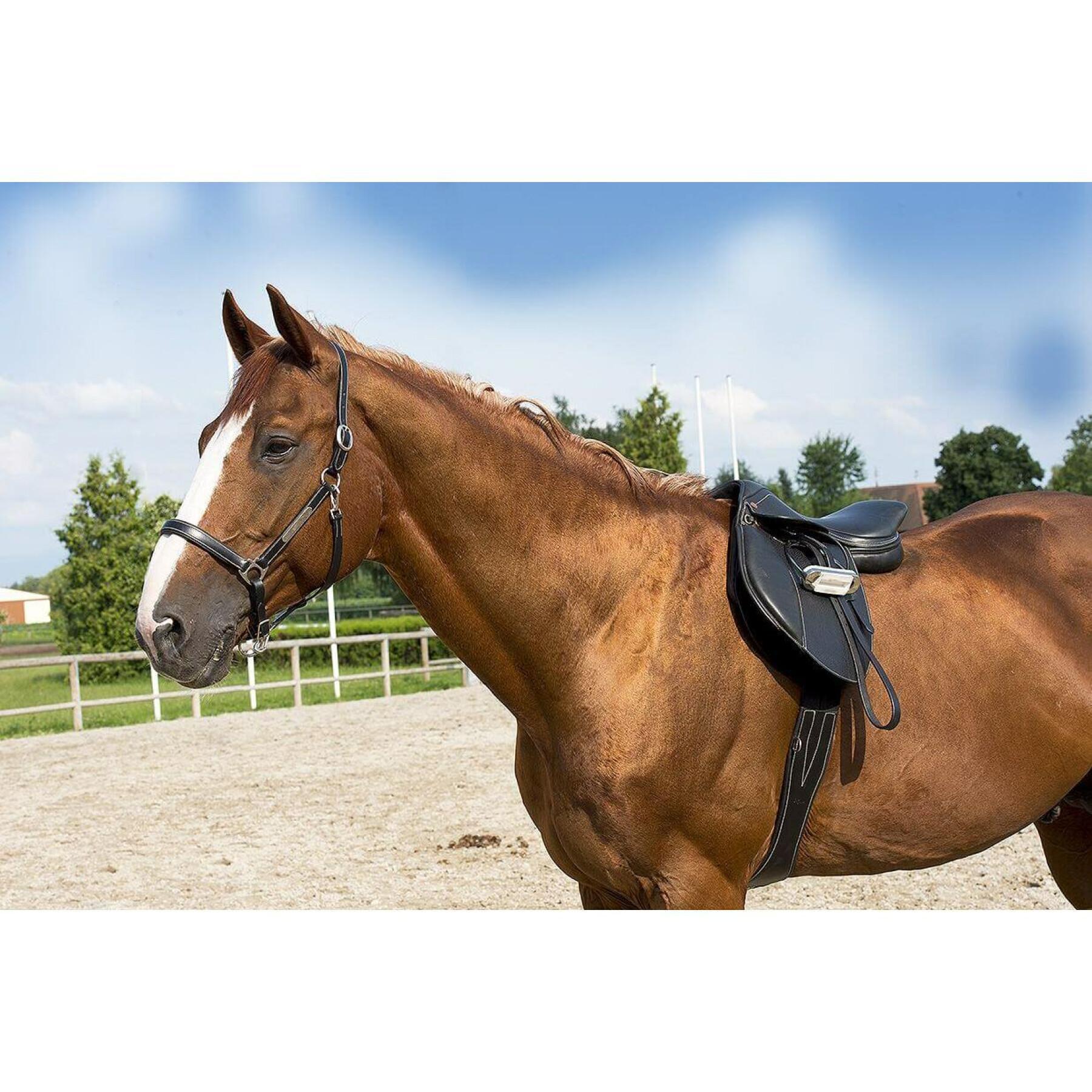 Cabresto de couro para cavalos puro-sangue ERIC THOMAS “Pro”