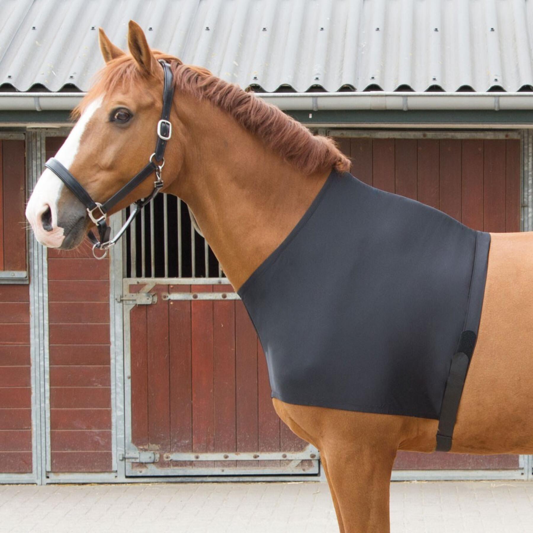 Protector de ombro elástico para cavalos Harry's Horse