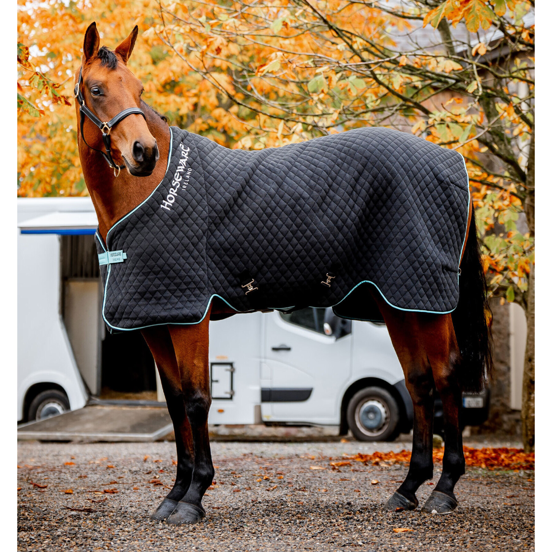 Cobertor de secagem para cavalos Horseware Autumn Cooler