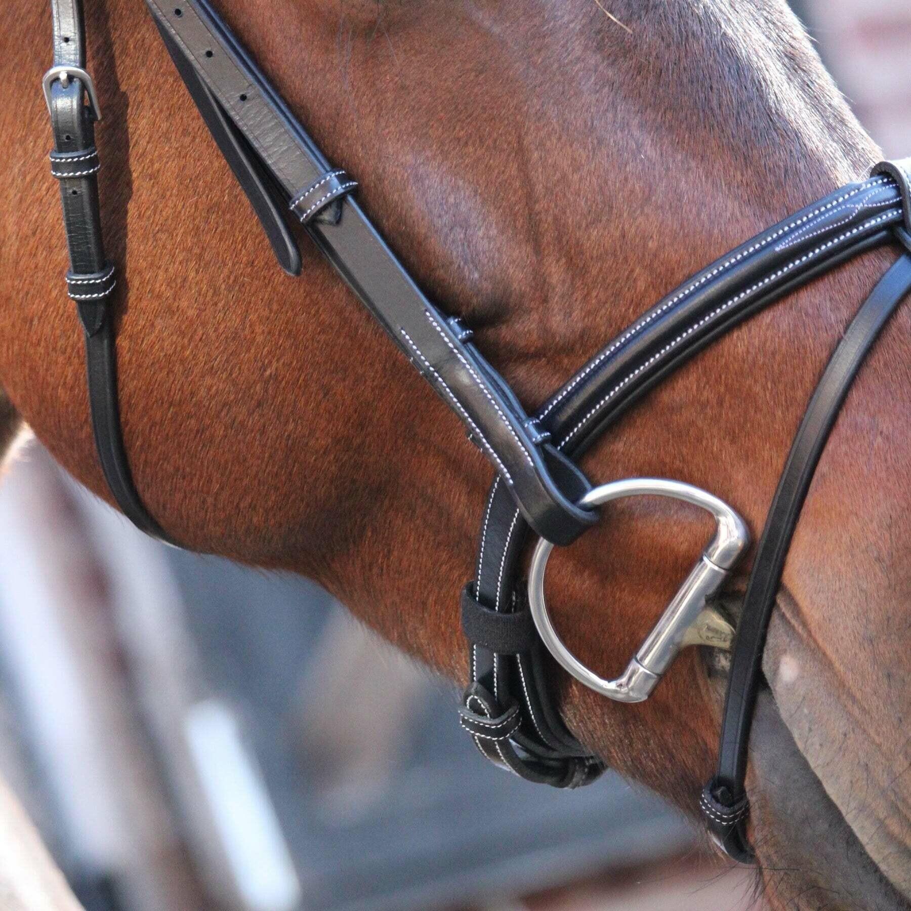 Bridles Paris Jump'In Collection One