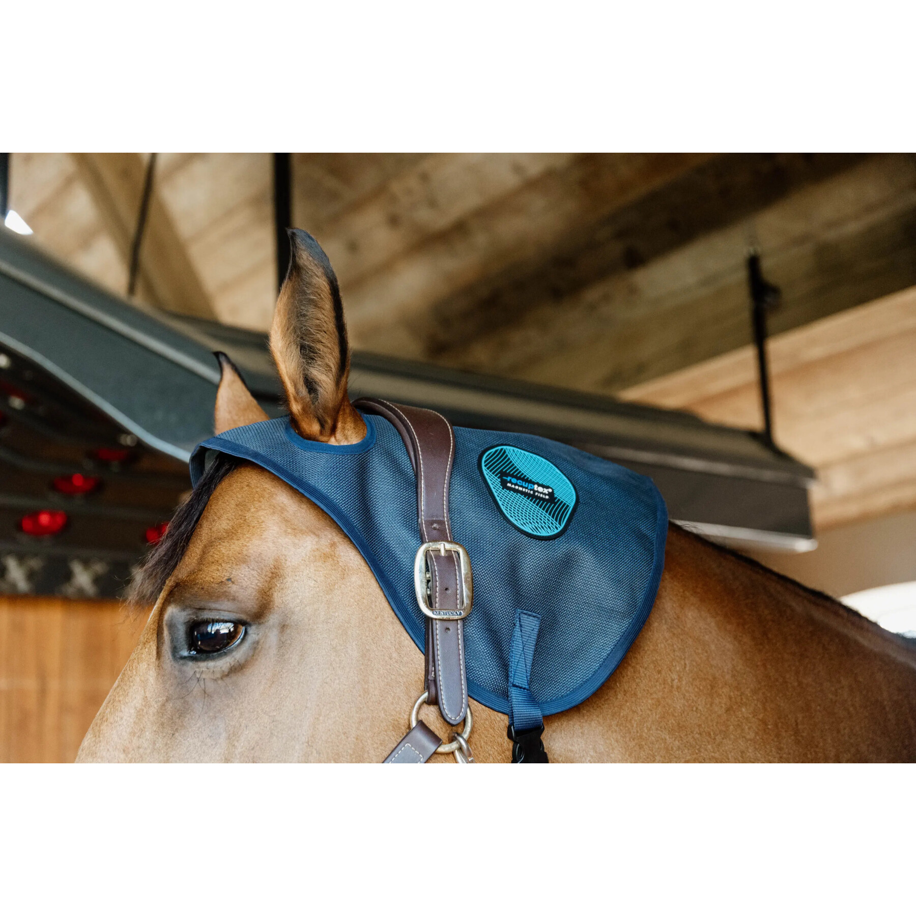 Protetor magnético para o pescoço do cavalo Kentucky Recuptex