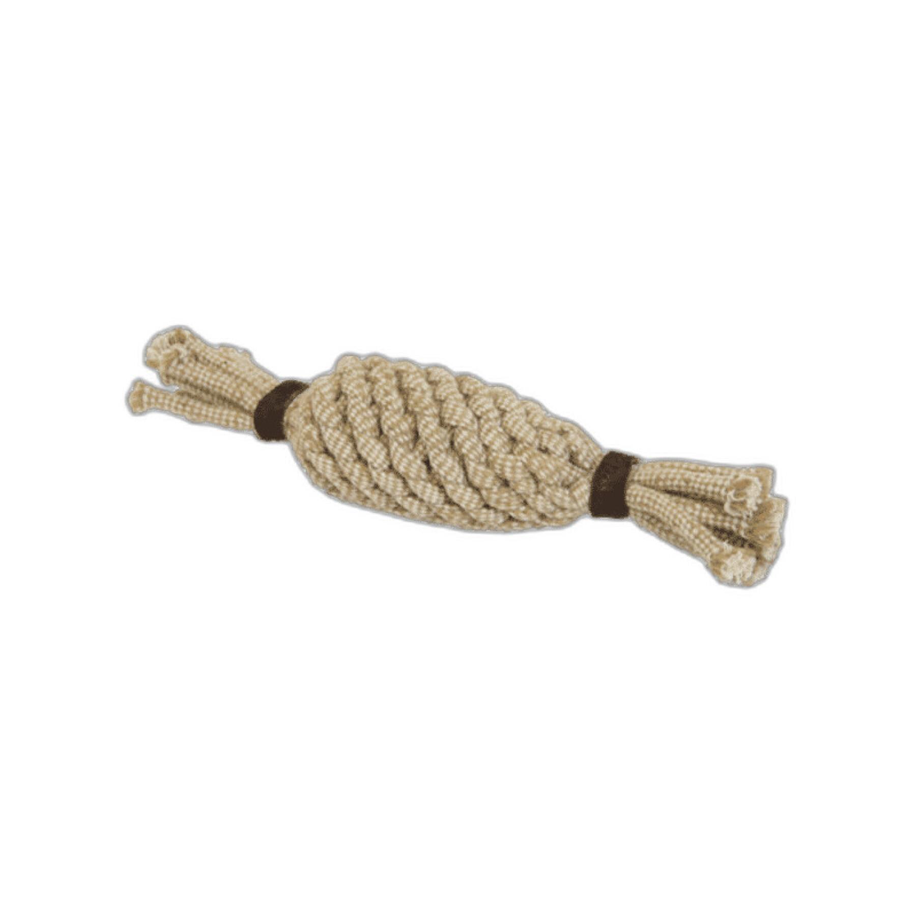 Brinquedo de cão de corda de algodão ananás Kentucky