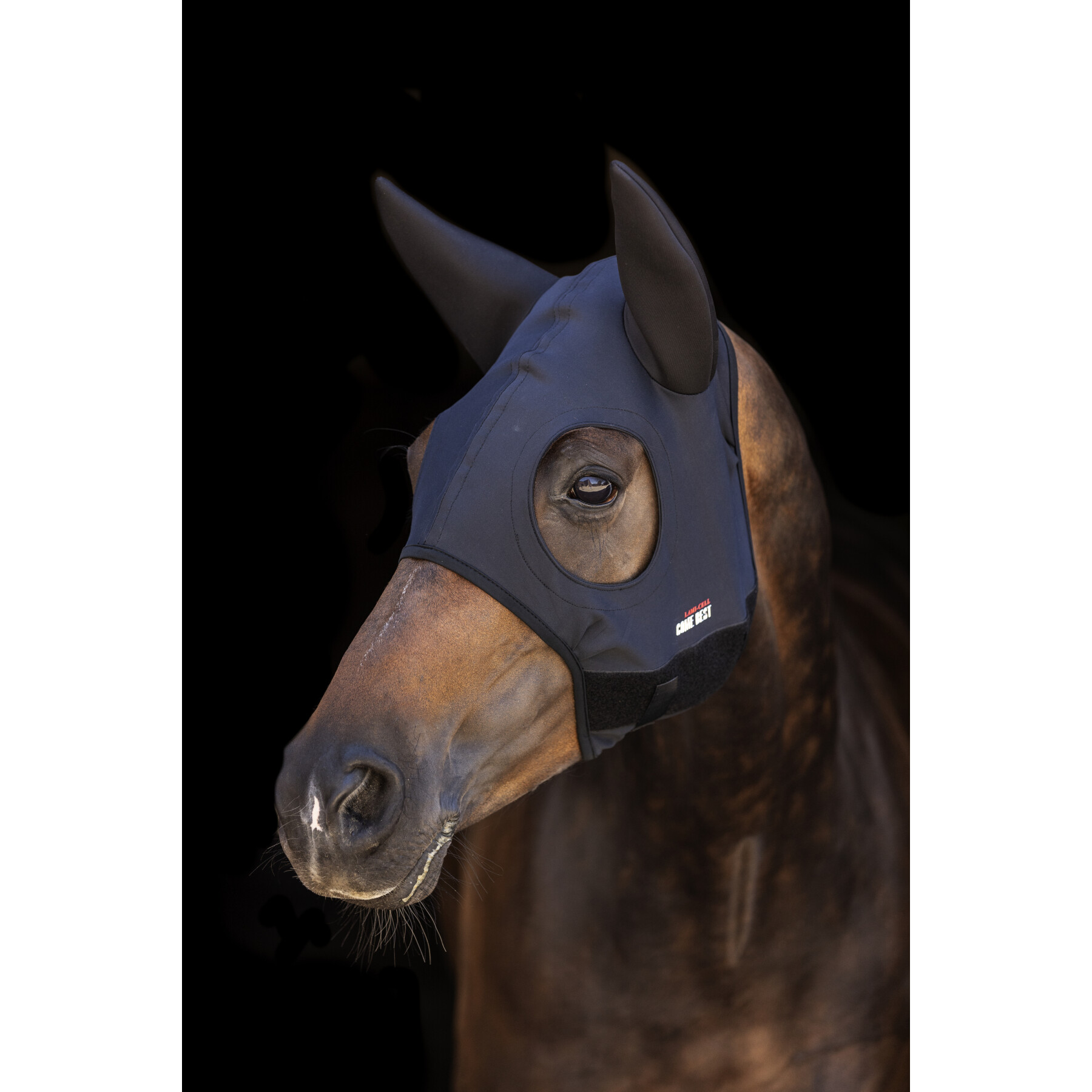 Máscara de cavalo Lami-Cell Titanium