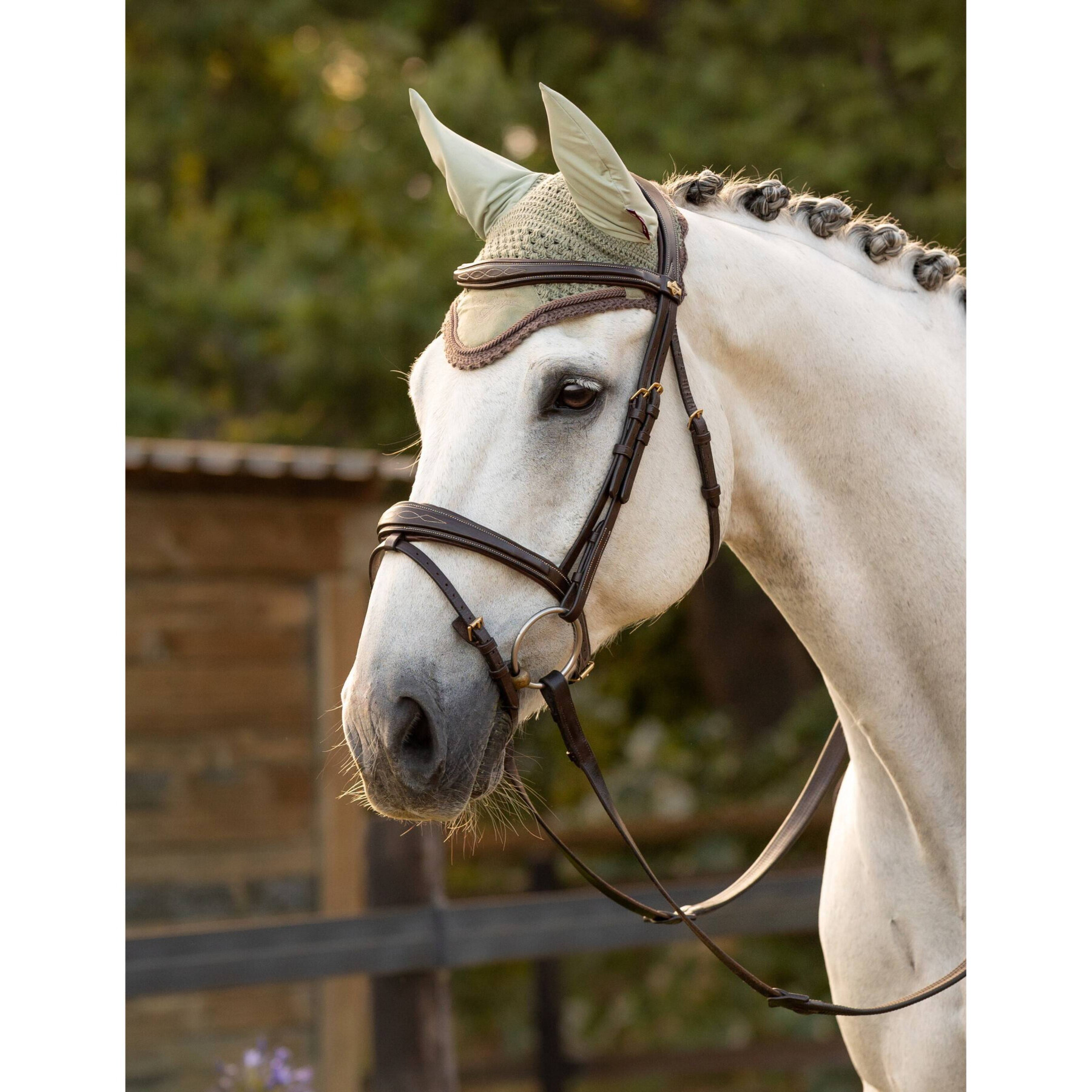 Boné de cavalo LeMieux Classic