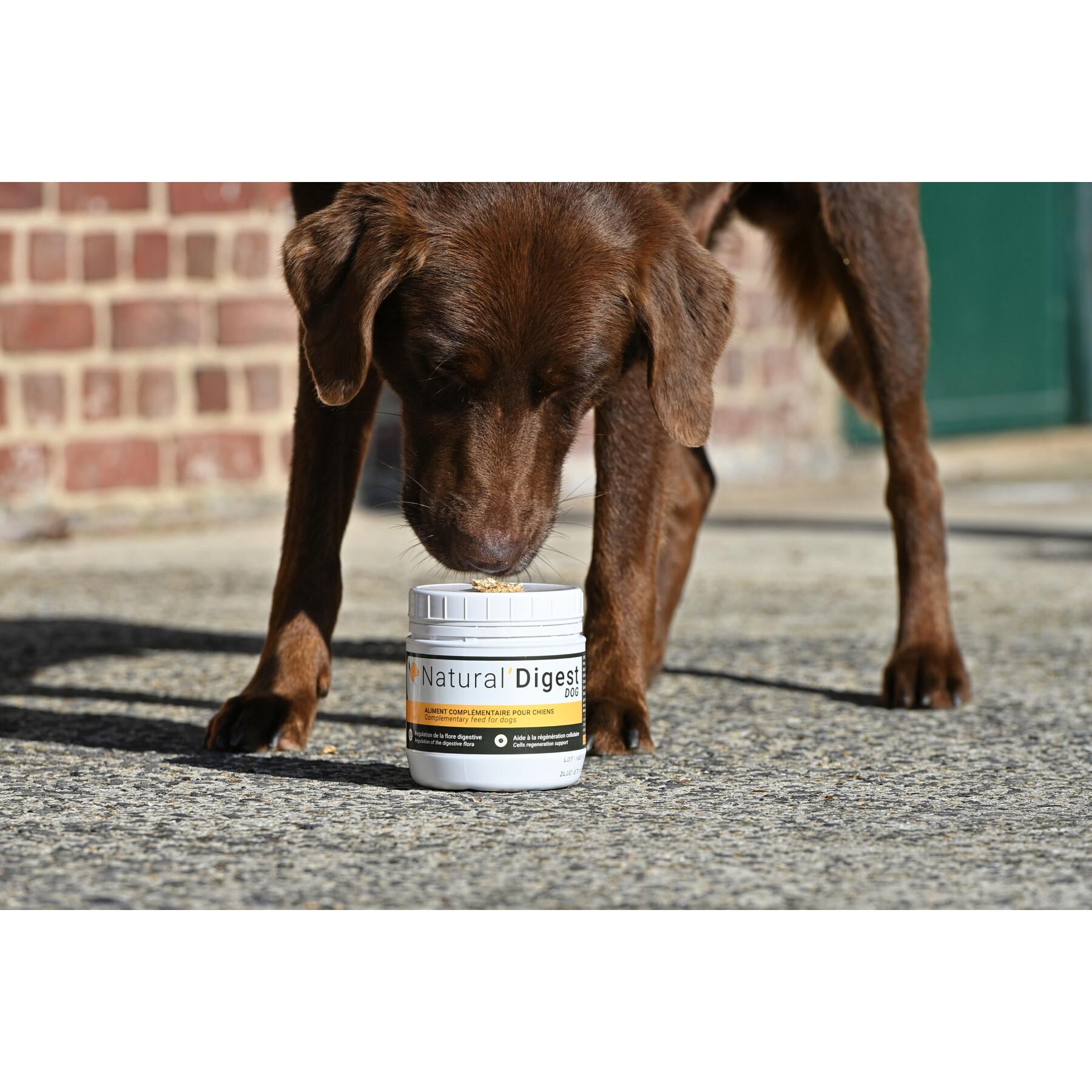 Suplemento digestivo para cães Natural Innov Natural'Digest - 200 g