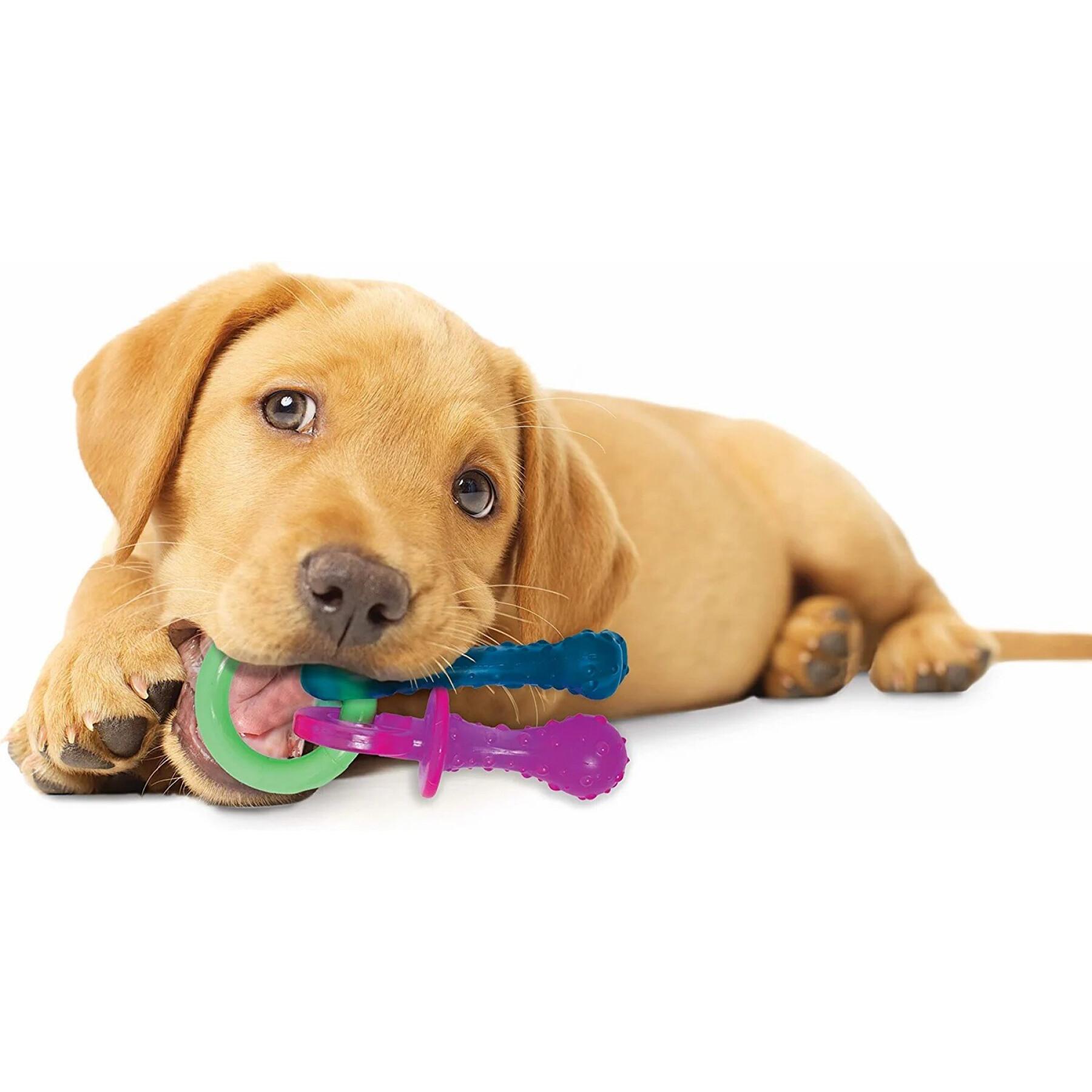 Brinquedo de cão Nylabone Puppy Teething Pacifier - Bacon XS