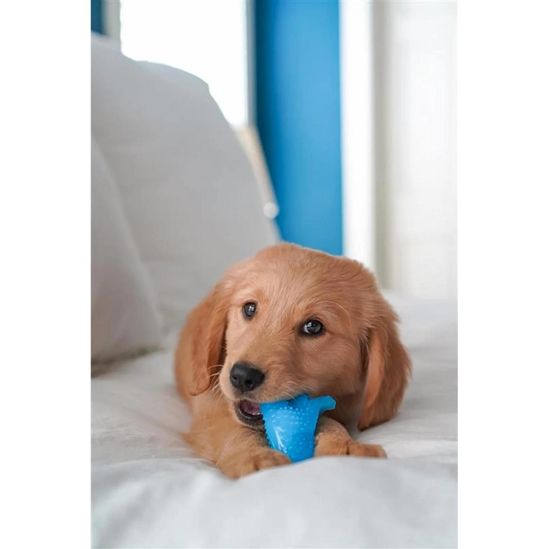 Brinquedo de cão Nylabone Puppy Teething Dental Dino - Chicken Flavour S