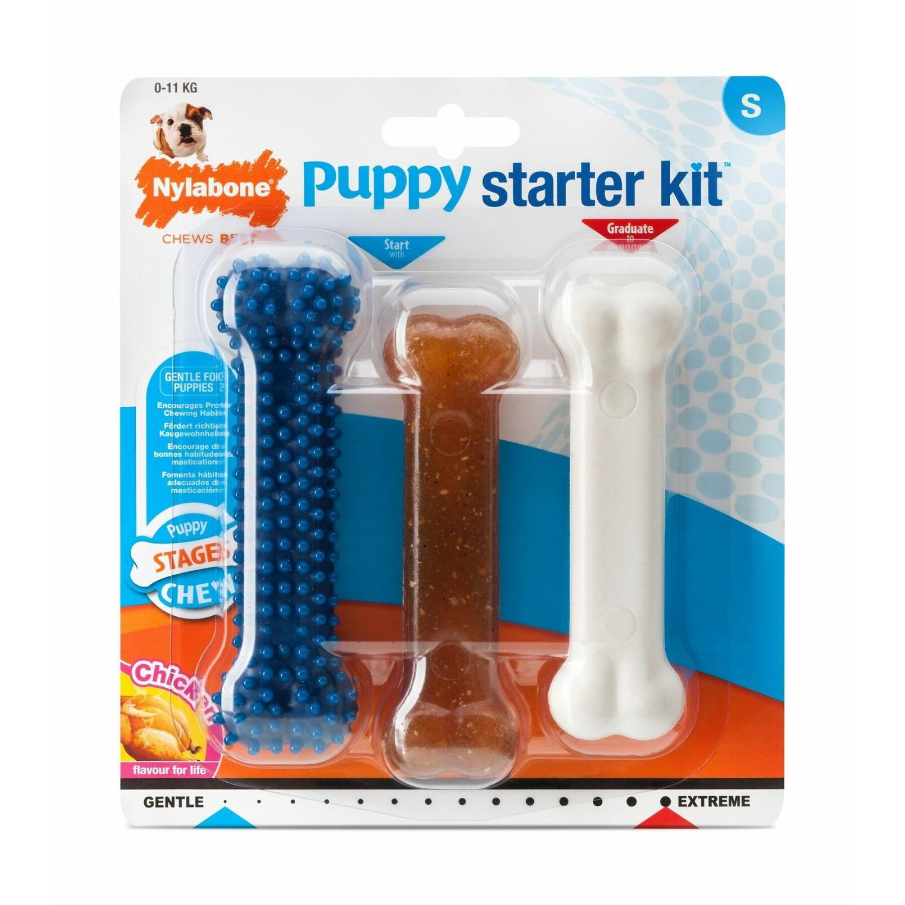 Conjunto de 3 brinquedos para cães Nylabone Puppy Starter Kit - 1 Puppybone Chicken / 1 Extreme Chew Chicken / 1 Dental Blue S