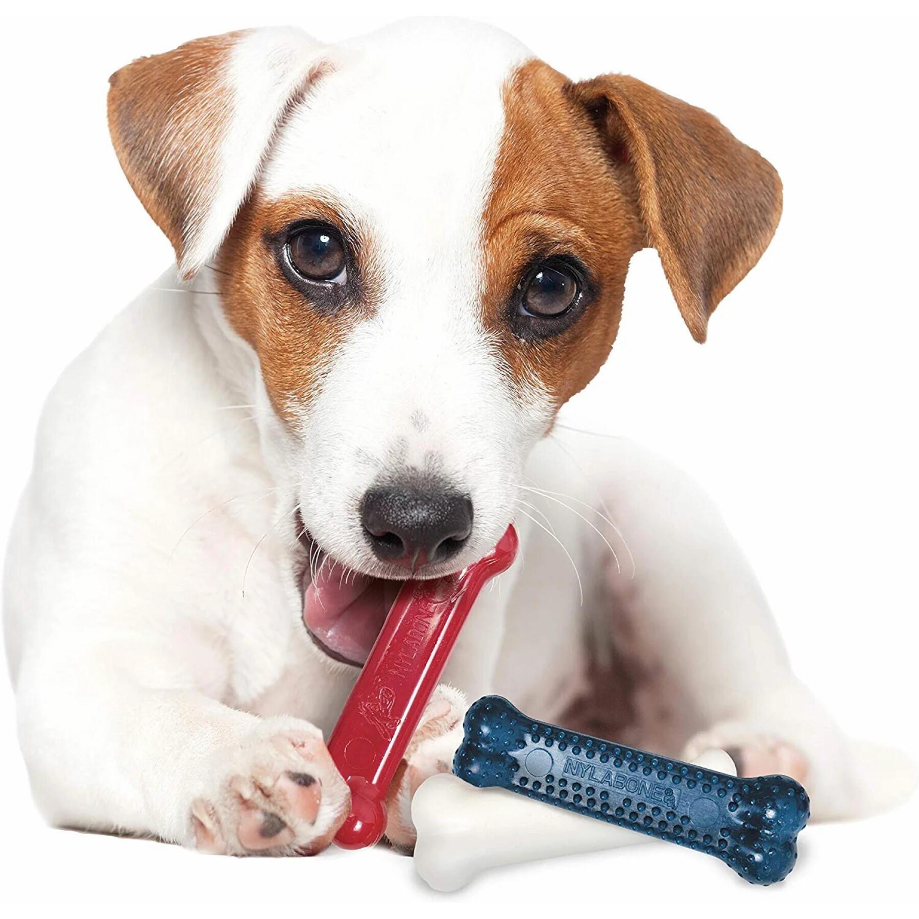 Brinquedo de cão Nylabone Small Dog Dental Blue Chew - Bacon Chicken / Moderate Chew Origin XS