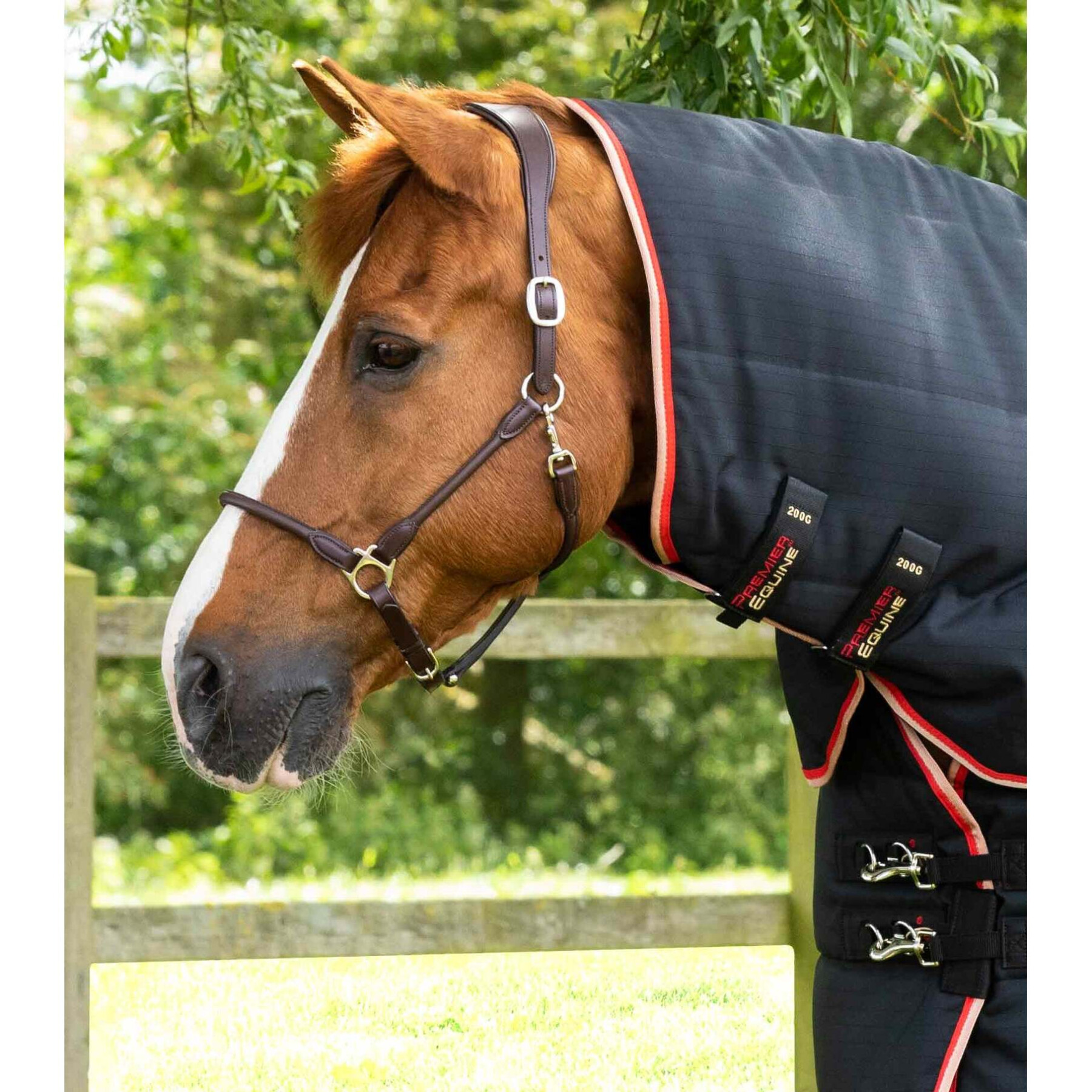 Cobertor de estábulo para cavalos com cobertura para o pescoço Premier Equine Stable Buster 200g