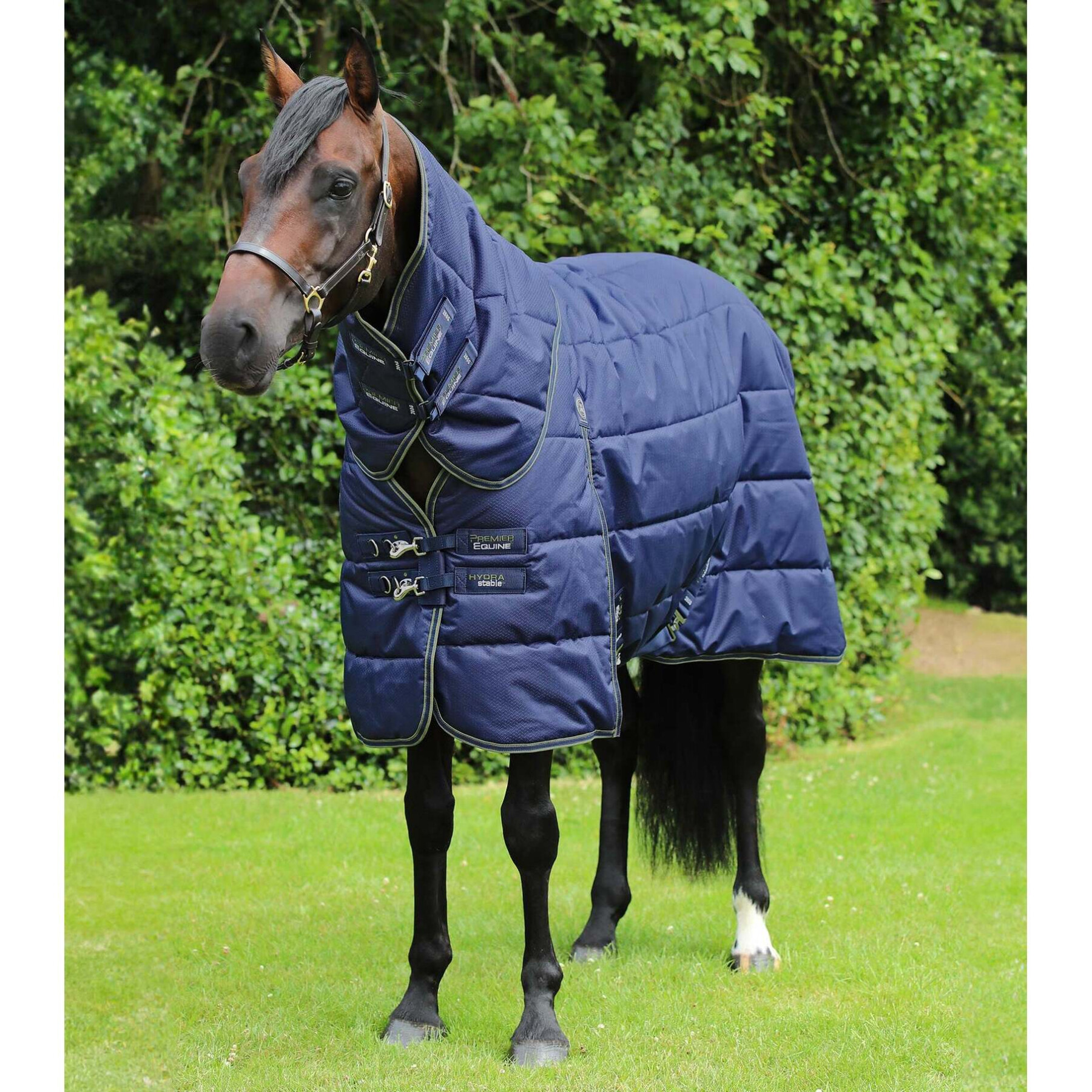 Cobertor de estábulo para cavalos com cobertura para o pescoço Premier Equine Hydra 350g