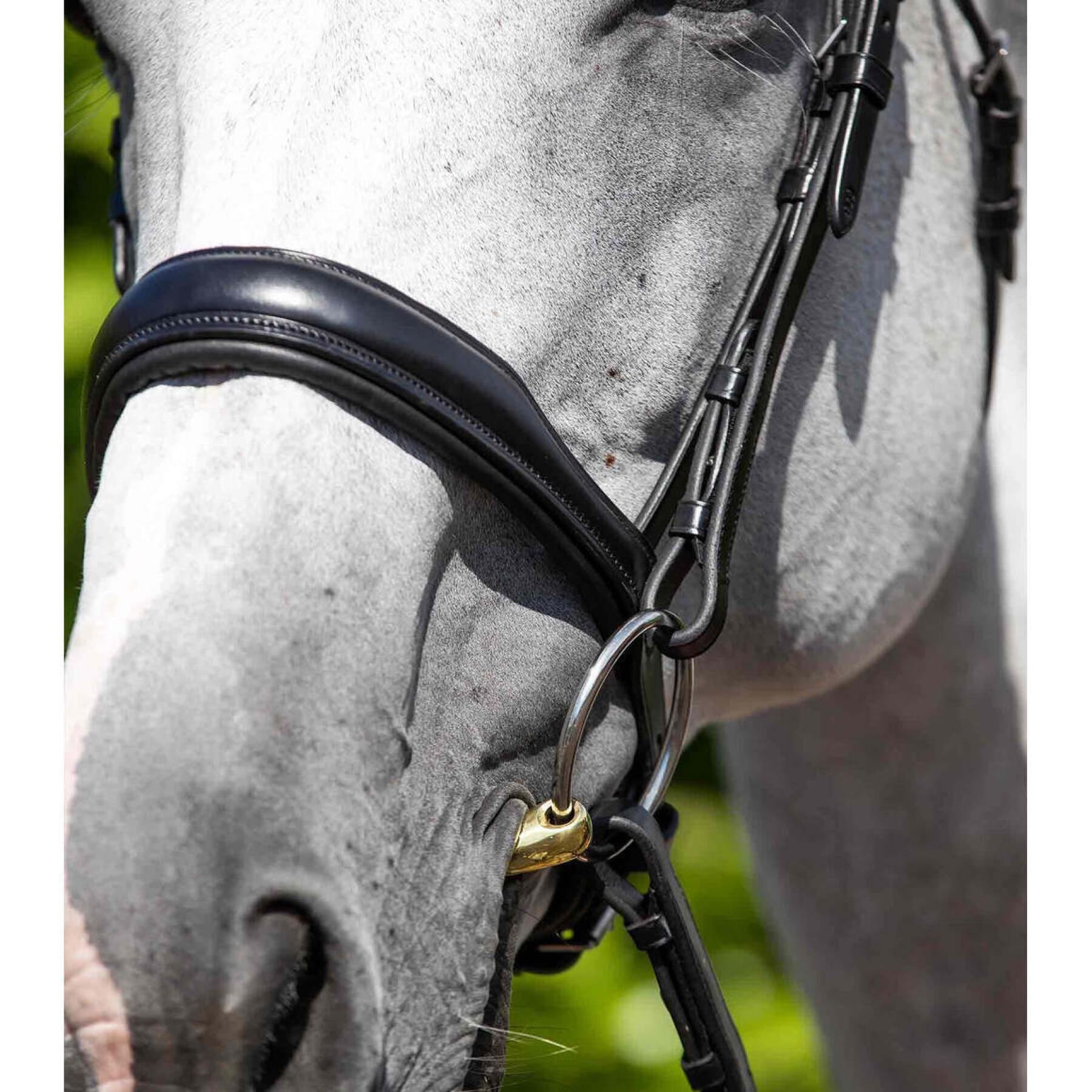 Banda nasal anatómica para cavalos Premier Equine Verdura Cavesson