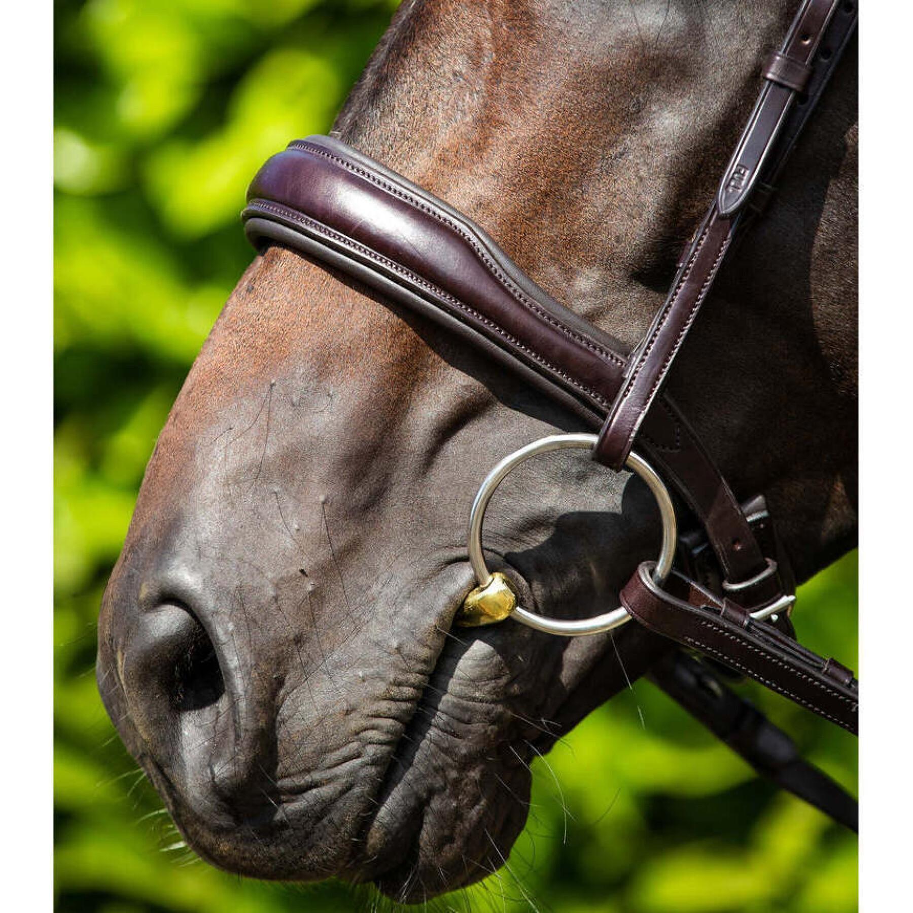 Banda nasal anatómica para cavalos Premier Equine Verdura Cavesson