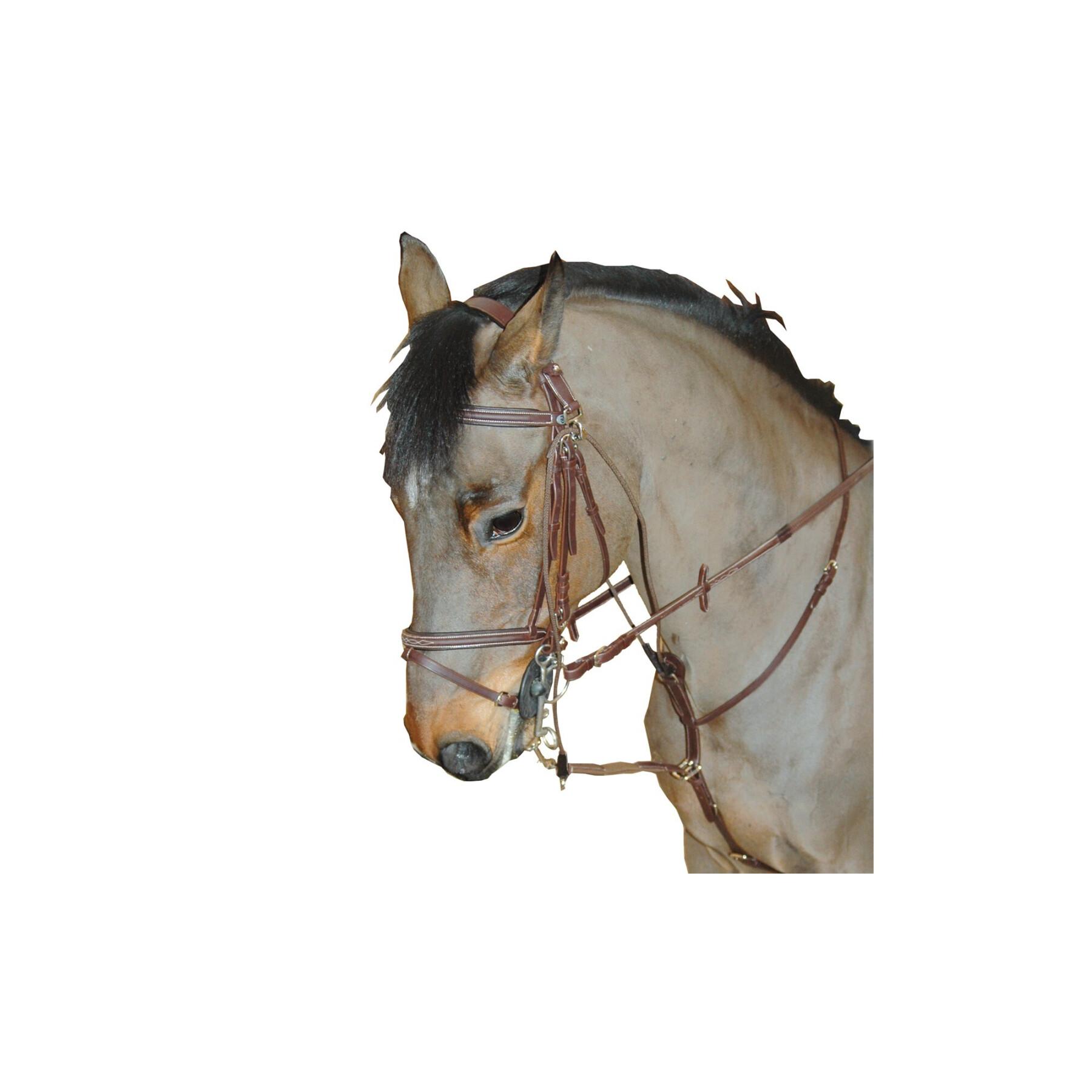 Bichinho de cavalo inteligente Privilège Equitation