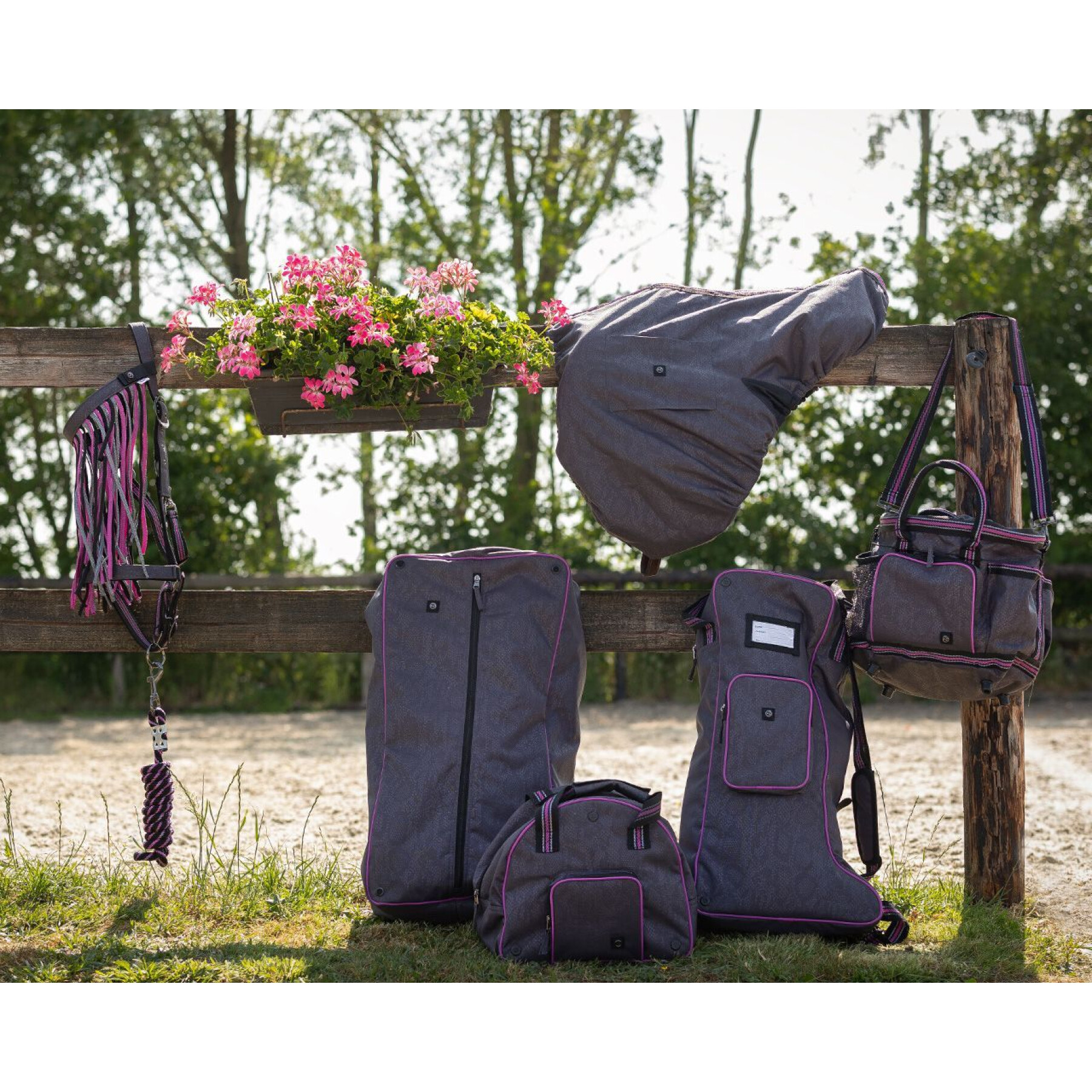 Banda anti-violeta para cavalos QHP Collection