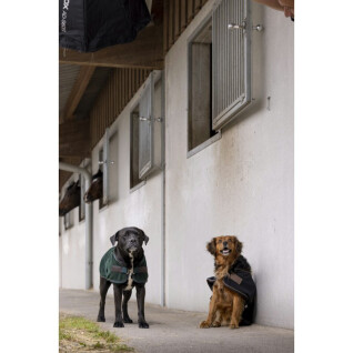 Manta de nylon para cães Diego & Louna Teddy