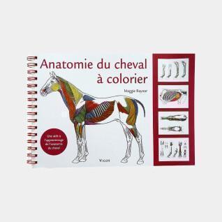 Anatomia do livro de coloração de cavalos Ekkia
