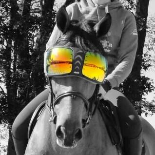 Lentes sobresselentes para óculos de cavalo eQuick eVysor