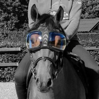 Lentes sobresselentes para óculos de cavalo Equick eVysor