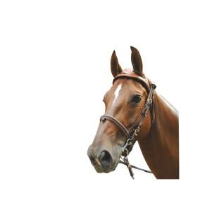 Cabeçotes de cavalo Eric Le Tixerant Headset