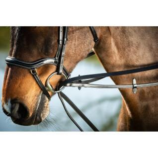 Resguardos para equitação em pele alemã HFI