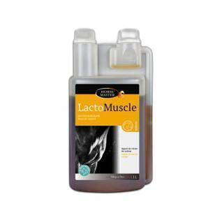 Suplemento alimentar para cavalos de desporto Horse Master Lactomuscle 1 L