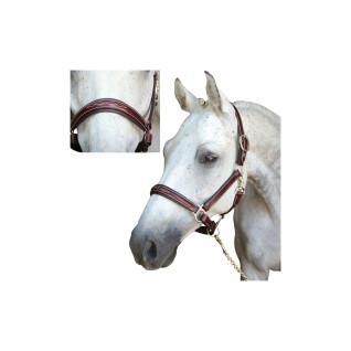 Cabresto para cavalos Lexington Denver