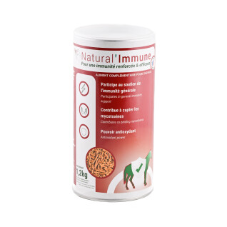 Suplemento alimentar imunidade e anti-oxidante Natural Innov Natural'Immune