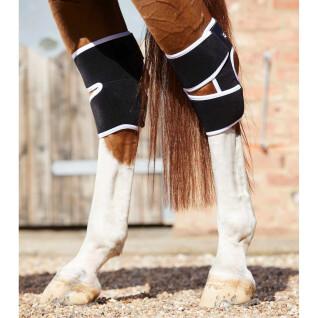 Protectores magnéticos do joelho para cavalos Premier Equine Magni-Teque