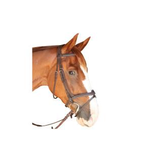 Cabeçotes de cavalo Privilège Equitation Dinard