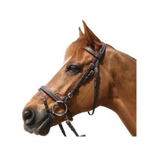 Cabeçotes de cavalo Privilège Equitation Grandville
