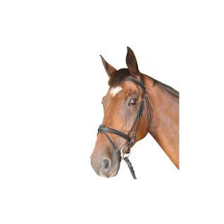 Cabeçadas combinadas Privilège Equitation Cabourg