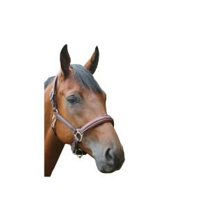 Cabresto de cavalo em polietileno Privilège Equitation Royan