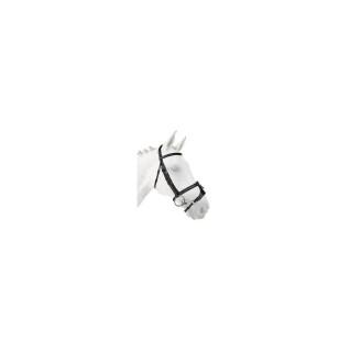 Banda nasal de cavalo com nariz x Silver Crown