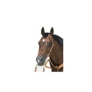 Cabeçadas para cavalos Westride Franck Perret 1 oreille