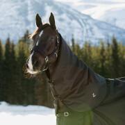 Protetor de pescoço para cavalos para cavalos Horze Nevada