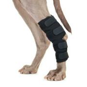 Proteção das pernas traseiras por par Back on Track