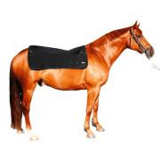 Aquecedor de costas para cavalos Back on Track