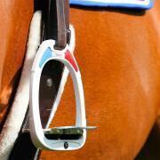 Autocolantes de equitação Flex On France