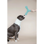 Brinquedo para cães Kentucky Dogwear Pastel Boomerang