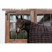 Manta de secagem quadrada para cavalos Kentucky Heavy
