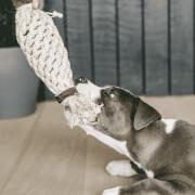 Brinquedo de cão de corda de algodão ananás Kentucky